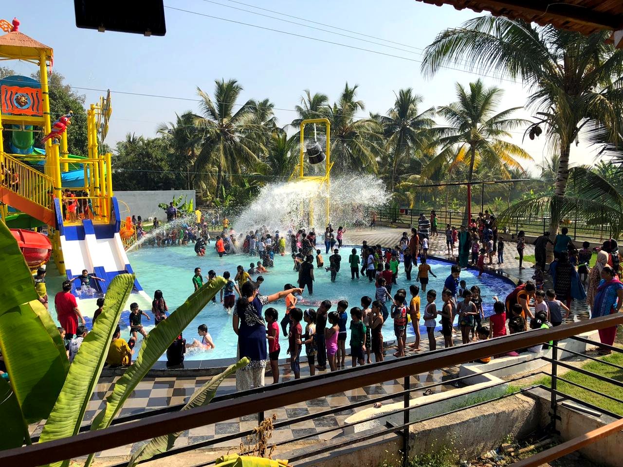 Guests enjoying the pool during a day picnic