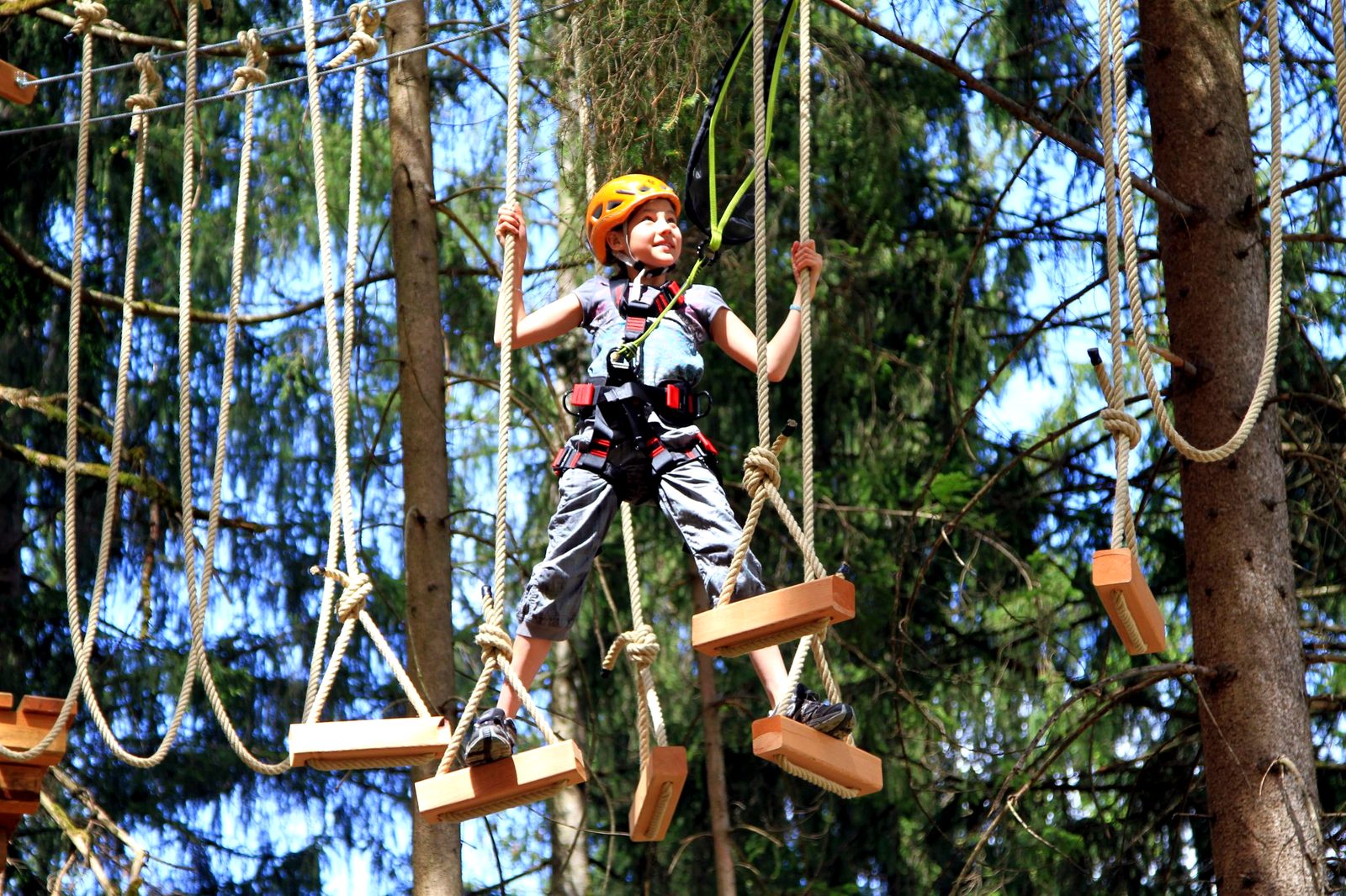 Rope obstacle course in the trees