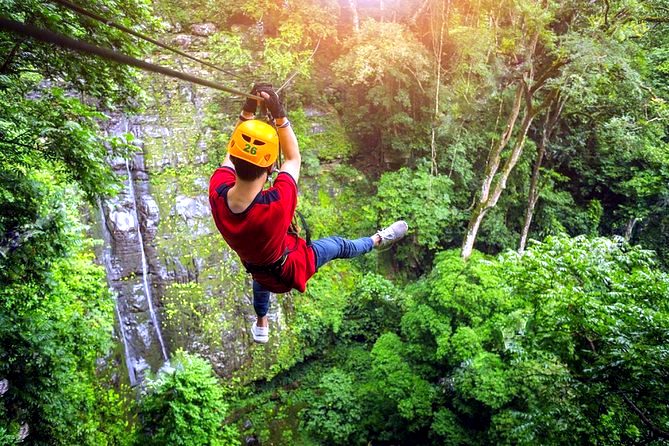 Zip line through the forest
